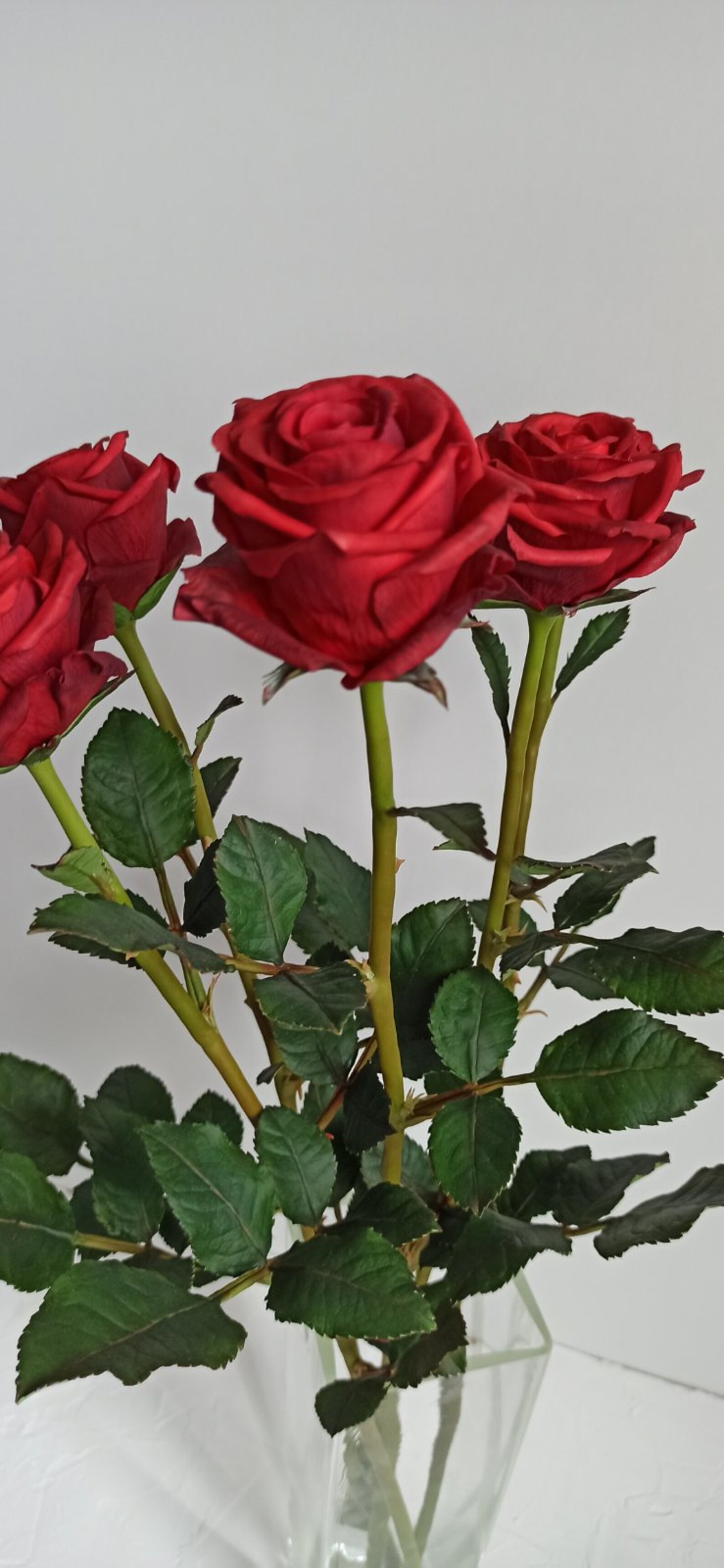 Red Clay Roses Roses. Red Polymer Clay Roses for Home Decor. Red Bouquet of Roses for ...