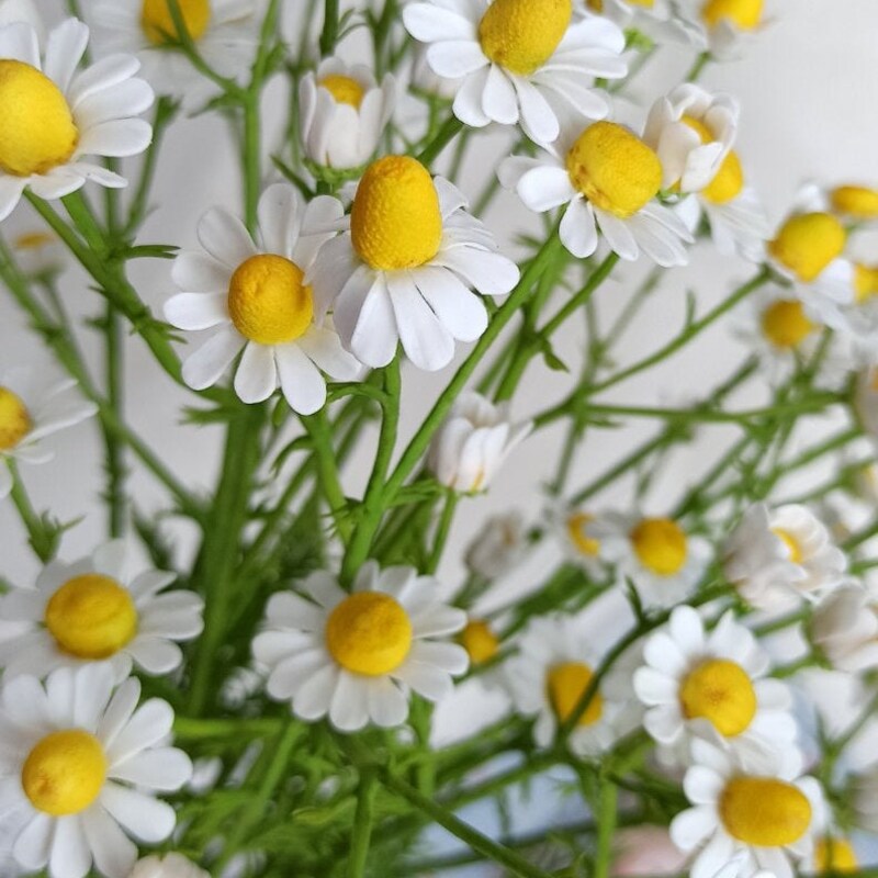 Chamomile Fake Flowers - Etsy