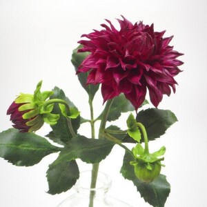 Dahlia flower for floral home decor. Burgundy flowers. Interior bouquet. Flower in vase. Handmade flowers. Cold porcelain flowers. image 3