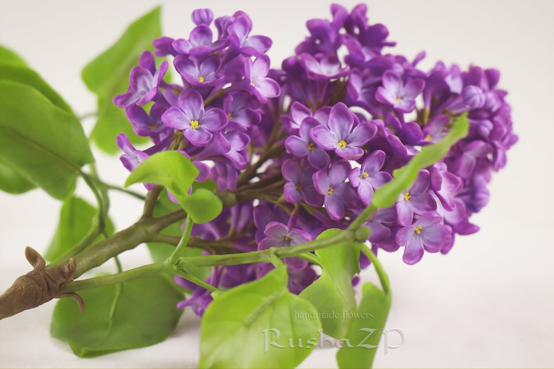 Lilac Lilac Flower Clay Lilac Bouquet Lilac Lilac Wedding Clay Flower