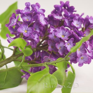 Puede incluir: Un primer plano de un ramo de flores de lila púrpura con hojas verdes. Las flores están dispuestas en un racimo y tienen una apariencia delicada y fragante. El ramo está hecho a mano y es un hermoso ejemplo de arte floral.