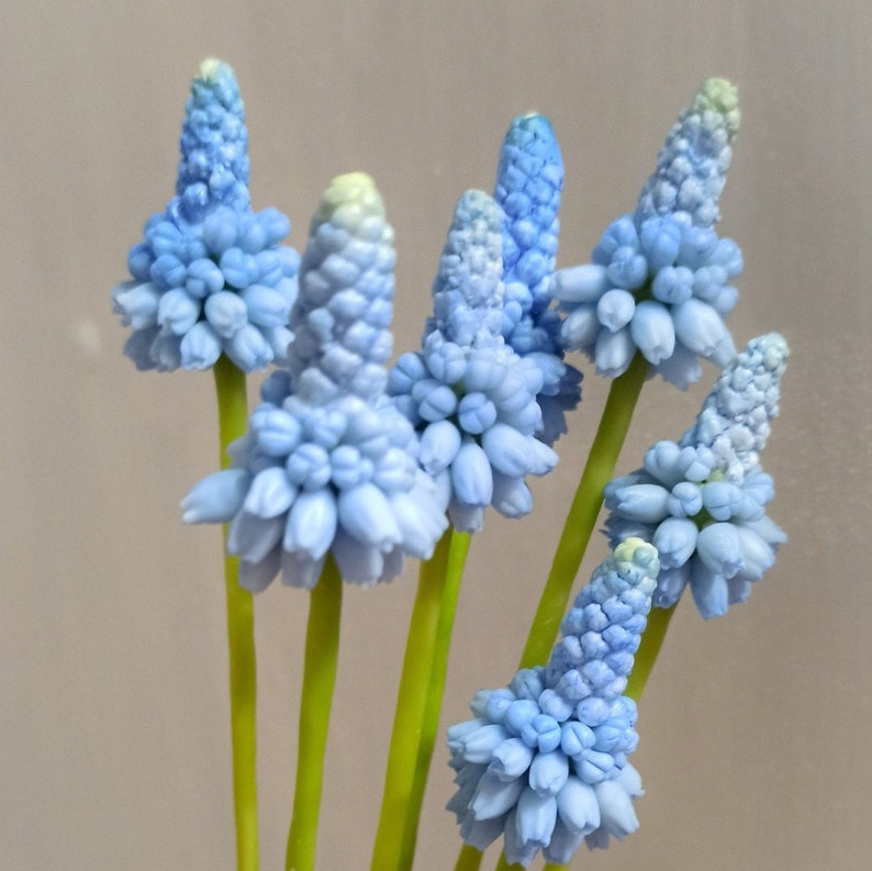 Muscari. Muscari flowers. Muscari bouquet. Real touch flowers. Spring bouquet. Polymer clay flowers. Grape Hyacinth Cold porcelain bouquet image 3