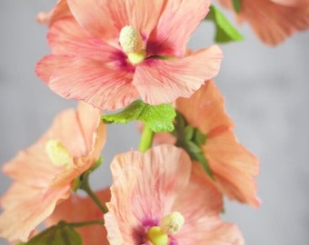 Mallow. Mallow from polymer clay. Mallow flowers. Clay flowers. Real touch flowers.