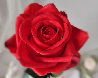Rose. Red rose. Real touch flowers. Clay rose from Home Decor and Interior. Polymer clay flower in vase. Table centerpiece. Cold porcelain.