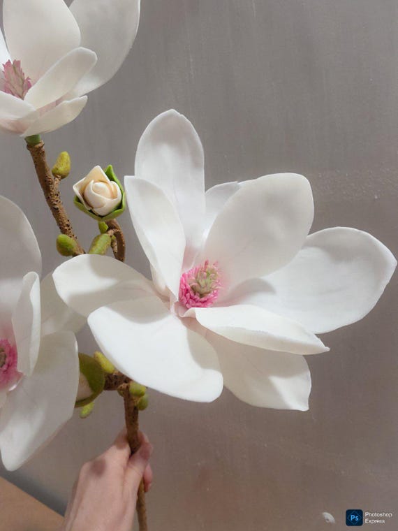 blumenkasten zum aufhängen Balkonkasten aus Zink – Pflanzgefäß mit Haken im Antik-Look main image 0
