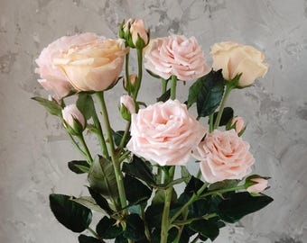 Rosas. Ramo de rosas. Ramo de rosas inglesas para regalar o para la decoración del hogar. Rosas color melocotón para el interior. Rosas de jardín. Rosas de arcilla.