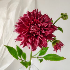 Dahlia flower for floral home decor. Burgundy flowers. Interior bouquet. Flower in vase. Handmade flowers. Cold porcelain flowers. image 10