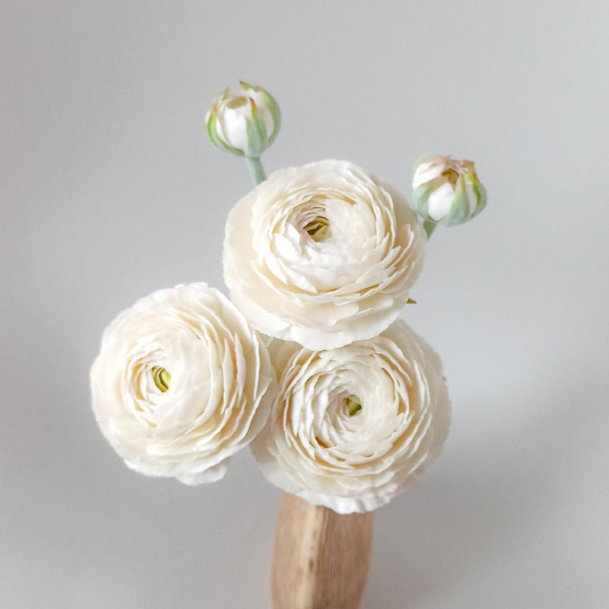 Ranunculus. Polymer Clay Flowers. Artificial Flower.