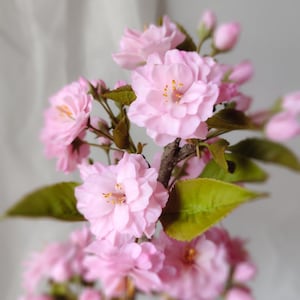 桜。桜の花。家の装飾やインテリアに使える本物のような春の花。冷たい磁器の花。花瓶用のポリマー粘土の桜。