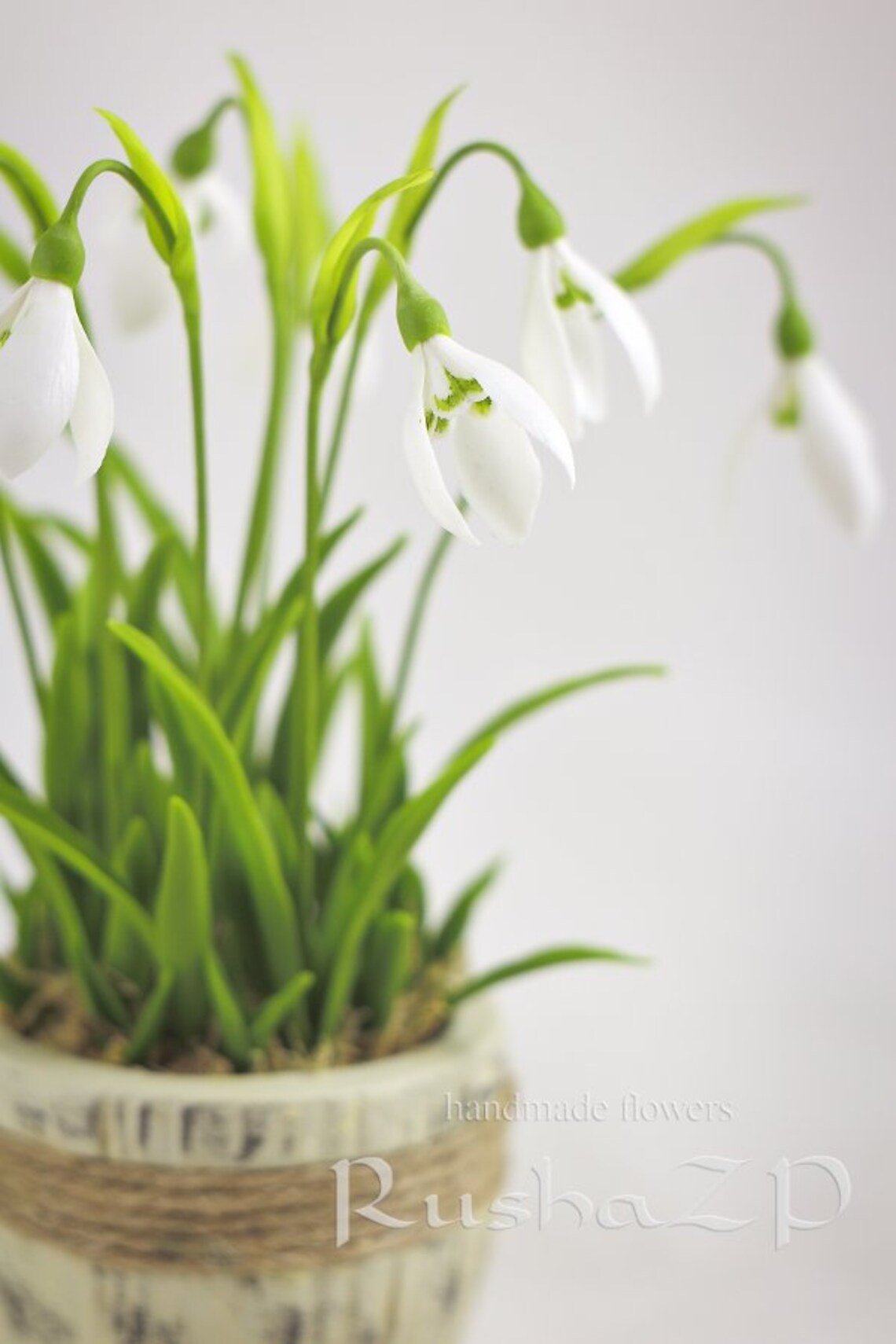 Snowdrop. Bouquet of snowdrops. Spring flowers. Real touch Etsy