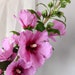 see more listings in the Clay flowers for vase section