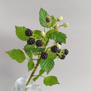 Blackberry Porcelain. Branch of Blackberry. Botanical sculpture. Real touch blackberry for home decor and interior. Cold Porcelain Flowers.