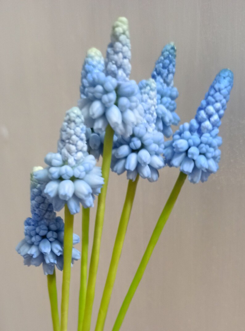 Muscari. Muscari flowers. Muscari bouquet. Real touch flowers. Spring bouquet. Polymer clay flowers. Grape Hyacinth Cold porcelain bouquet image 8