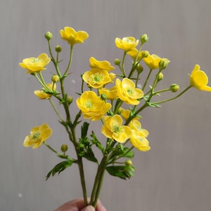 Buttercup flowers. Ranuncylus acris. Cold porcelain flowers for the interior or Home decor. Wildflowers. Real touch flower arrangement.
