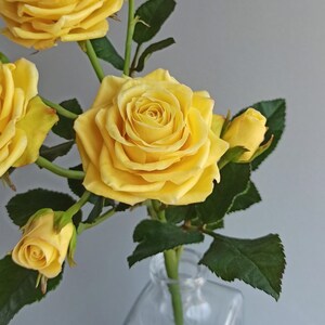 May include: A bouquet of yellow roses in a clear glass vase with a textured surface. The roses are in various stages of bloom, with some fully open and others still in bud.