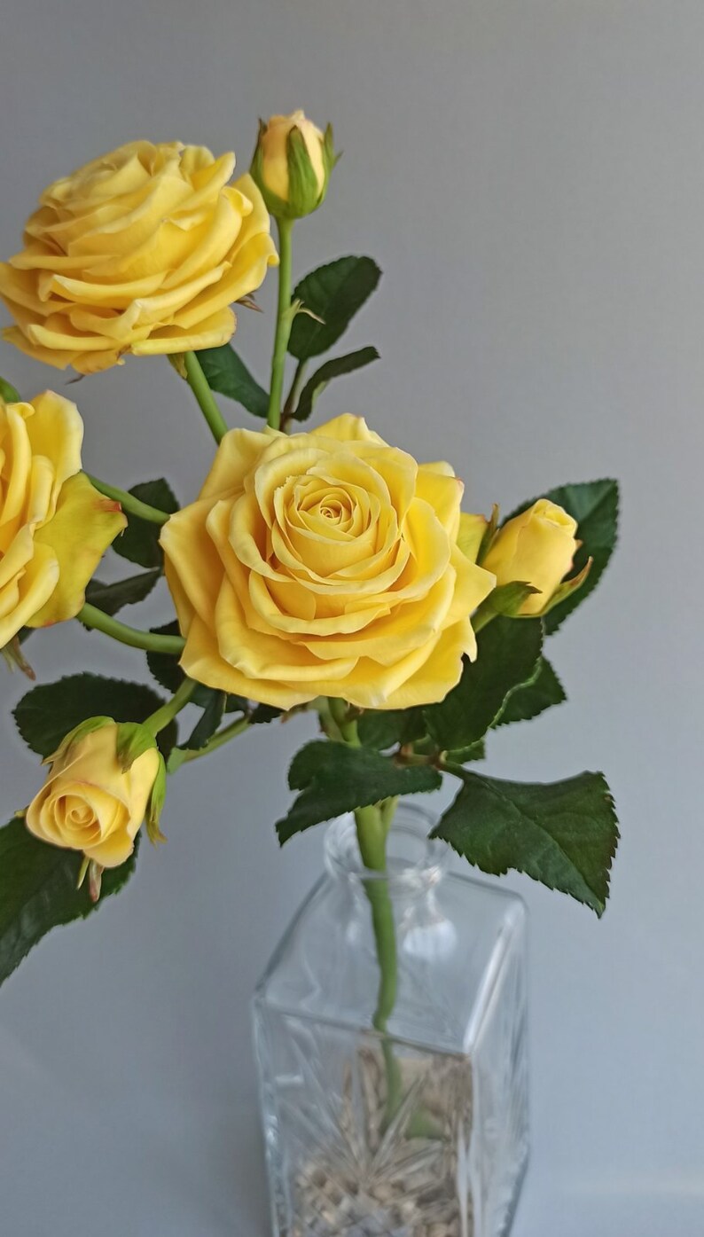 May include: A bouquet of yellow roses in a clear glass vase with a textured surface. The roses are in various stages of bloom, with some fully open and others still in bud.