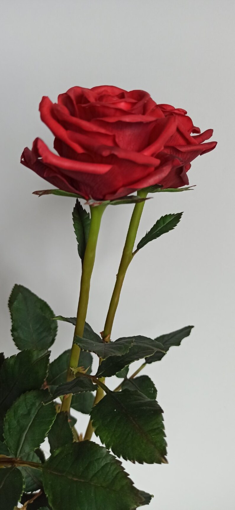Red Clay Roses Roses. Red Polymer Clay Roses for Home Decor. Red Bouquet of Roses for ...