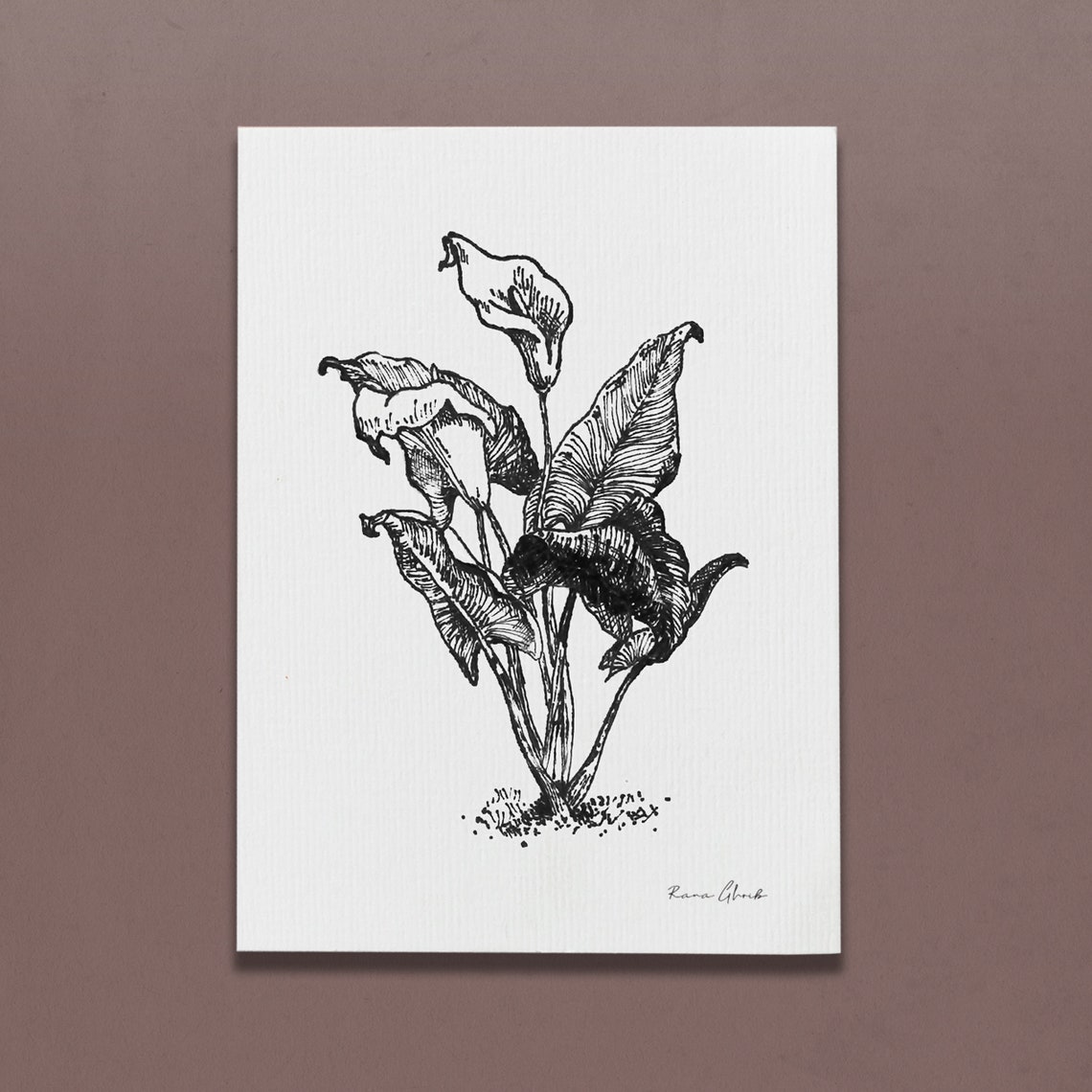 Peace Lily Print Floral/Botanical Drawing Art Prints Etsy