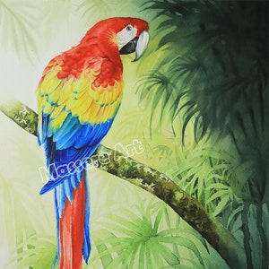 オウムの水彩画、コンゴウインコの絵、鳥好きへの贈り物、カラフルな鳥