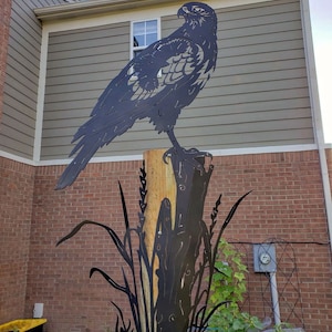 Garden Hawk