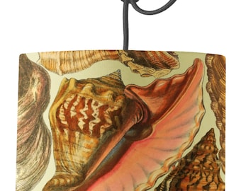 Paralume Conchiglie / Paralume Tamburo Costiero Diametro 20, 30 e 45 cm / Di Senape e Grigio