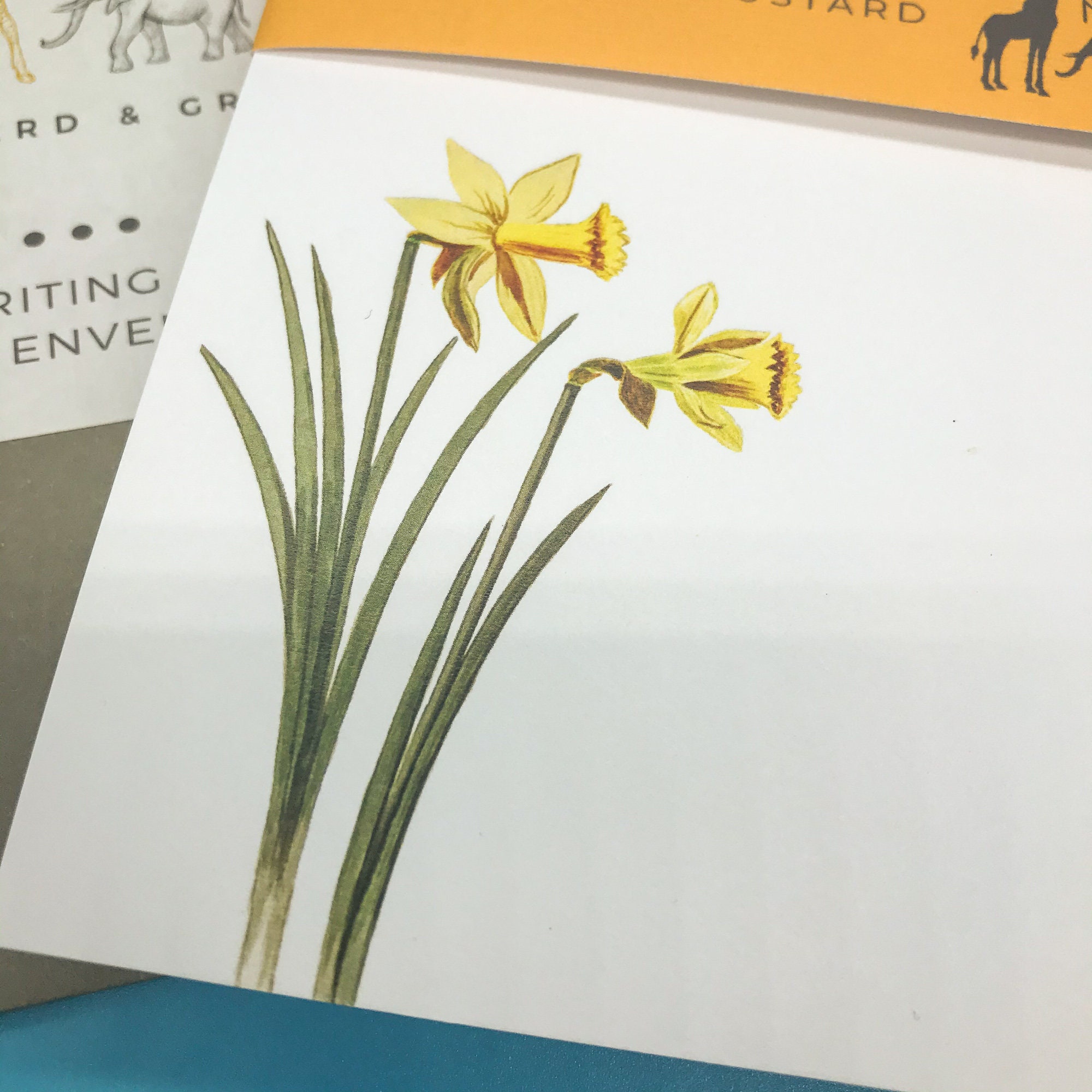 Daffodil Letter Writing Set Daffodil A5 Writing Paper Etsy