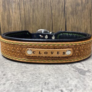 Celtic knot Hand carved double layered dog collar with padding - medium to large