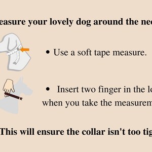 Puede incluir: Ilustraci&oacute;n que muestra c&oacute;mo medir el cuello de un perro para un collar. Usa una cinta m&eacute;trica suave e inserta dos dedos en el bucle al tomar la medida. Esto asegurar&aacute; que el collar no est&eacute; demasiado apretado.