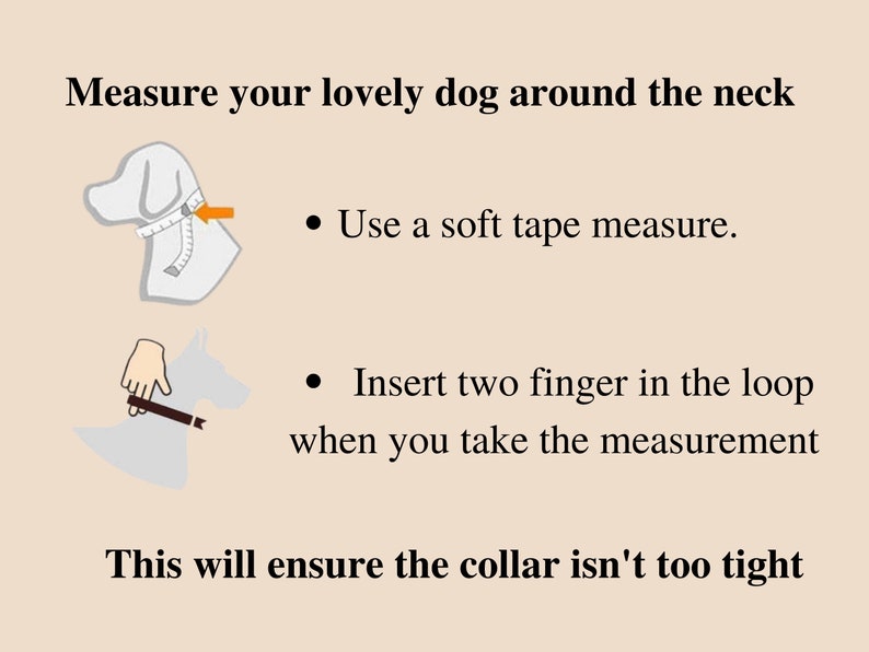 Puede incluir: Ilustraci&oacute;n que muestra c&oacute;mo medir el cuello de un perro para un collar. Usa una cinta m&eacute;trica suave e inserta dos dedos en el bucle al tomar la medida. Esto asegurar&aacute; que el collar no est&eacute; demasiado apretado.