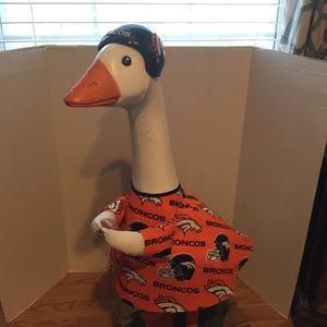 Denver Bronco Goose Clothes