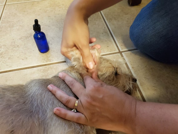 lavender epsom salt for dogs