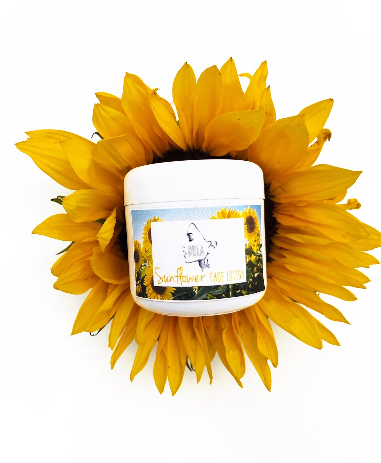 Sunflower Face Lotion for dry and normal skin Etsy