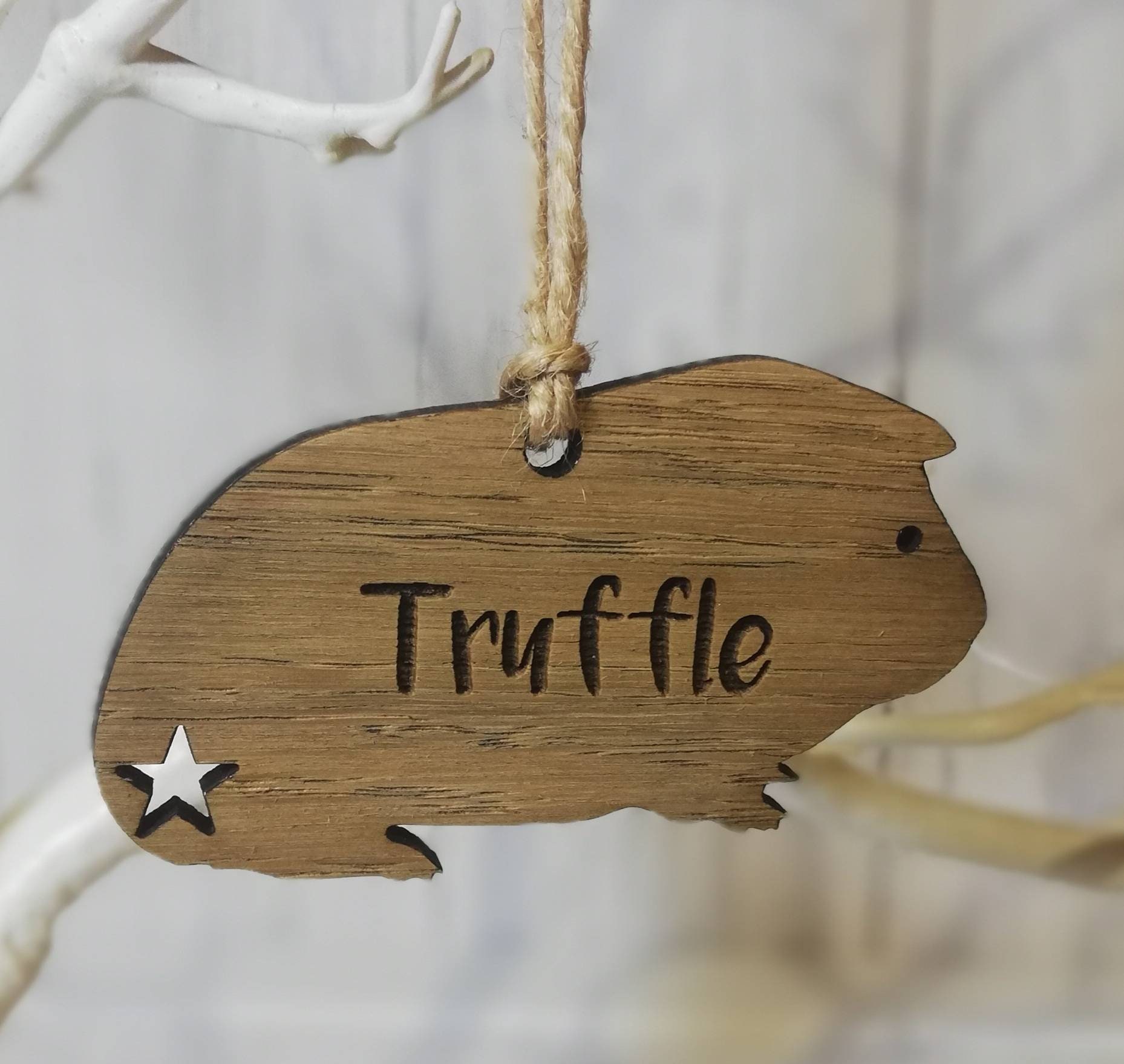 Guinea Pig Personalised Ornament, Guinea Pig Accessories, Pet Tag, Pe…