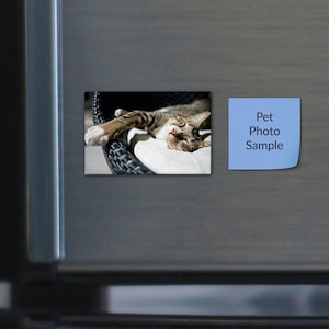 May include: A rectangular magnet featuring a photograph of a brown tabby cat sleeping on a white cushion inside a dark woven chair, positioned next to a square light blue magnet with the black printed text Pet Photo Sample.