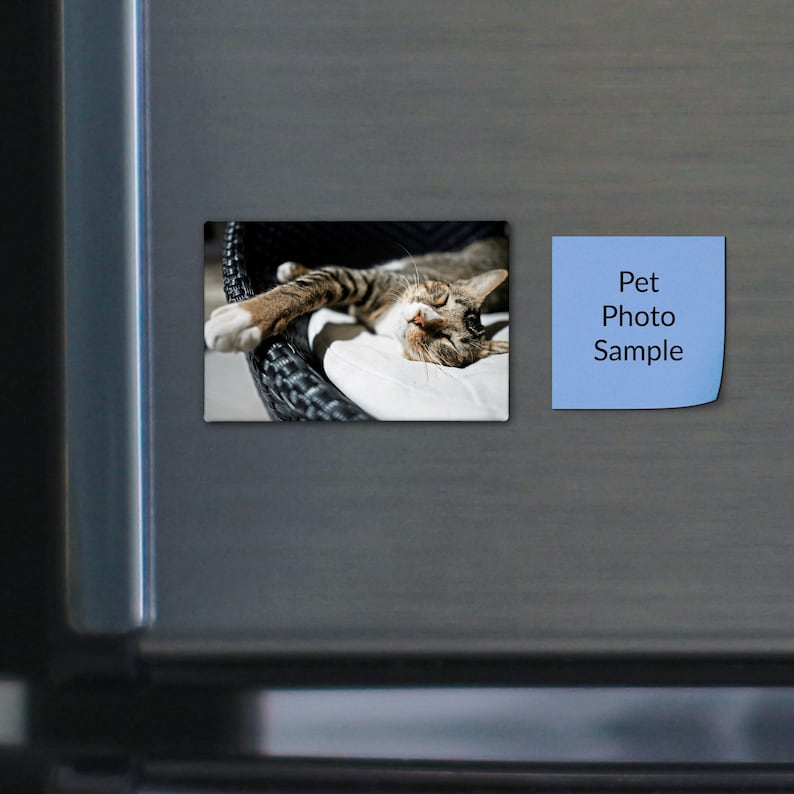 May include: A rectangular magnet featuring a photograph of a brown tabby cat sleeping on a white cushion inside a dark woven chair, positioned next to a square light blue magnet with the black printed text Pet Photo Sample.