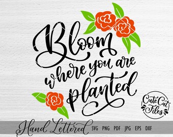 Fiorisci dove sei piantato SVG / File di taglio primaverile (download digitale)