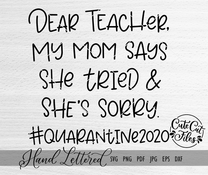 Download Funny Quarantine SVG PNG DXF Funny Homeschool Back to | Etsy