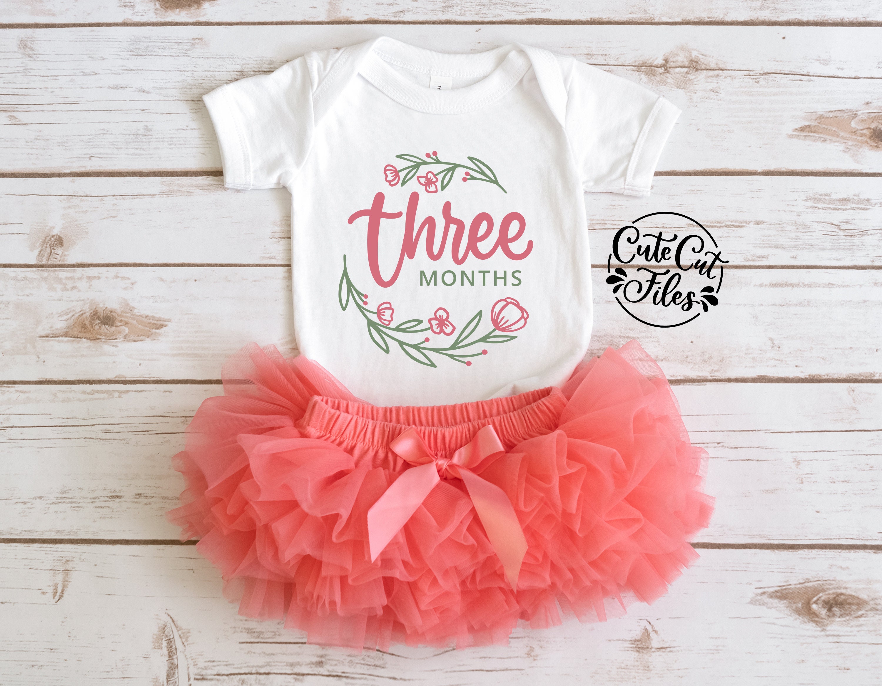 Round Baby Milestone SVG PNG DXF | Baby Milestone Cut Files | Monthly ...