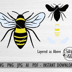 Bee SVG PNG AI | Bee Color Cut File | Bee Clipart | Bee Cut File | Bee Layered Cut File | Bee Clip Art