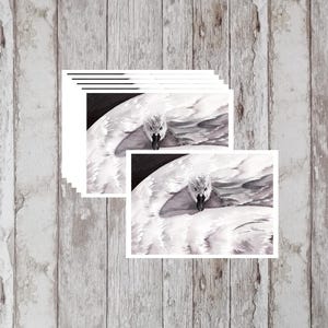 Elegante Schwan Grußkarten - 6er Set Kunstdruck Grußkarten | Handgemachte A6 Notizzettel | Karten für jeden Anlass | blanko Notizzettel