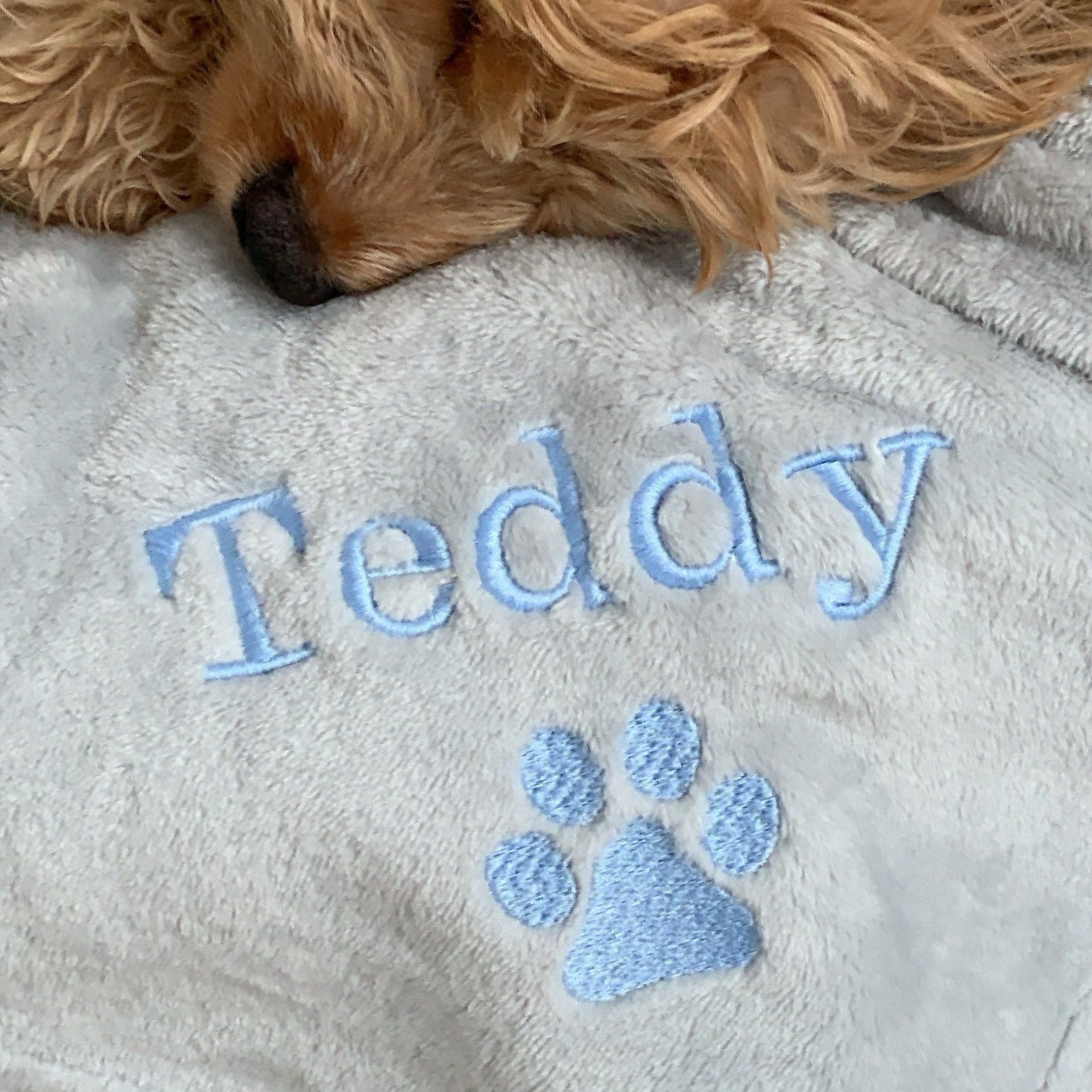 Personalised Dog Blanket With Cute Paw Design Spoil Your Dog Etsy UK