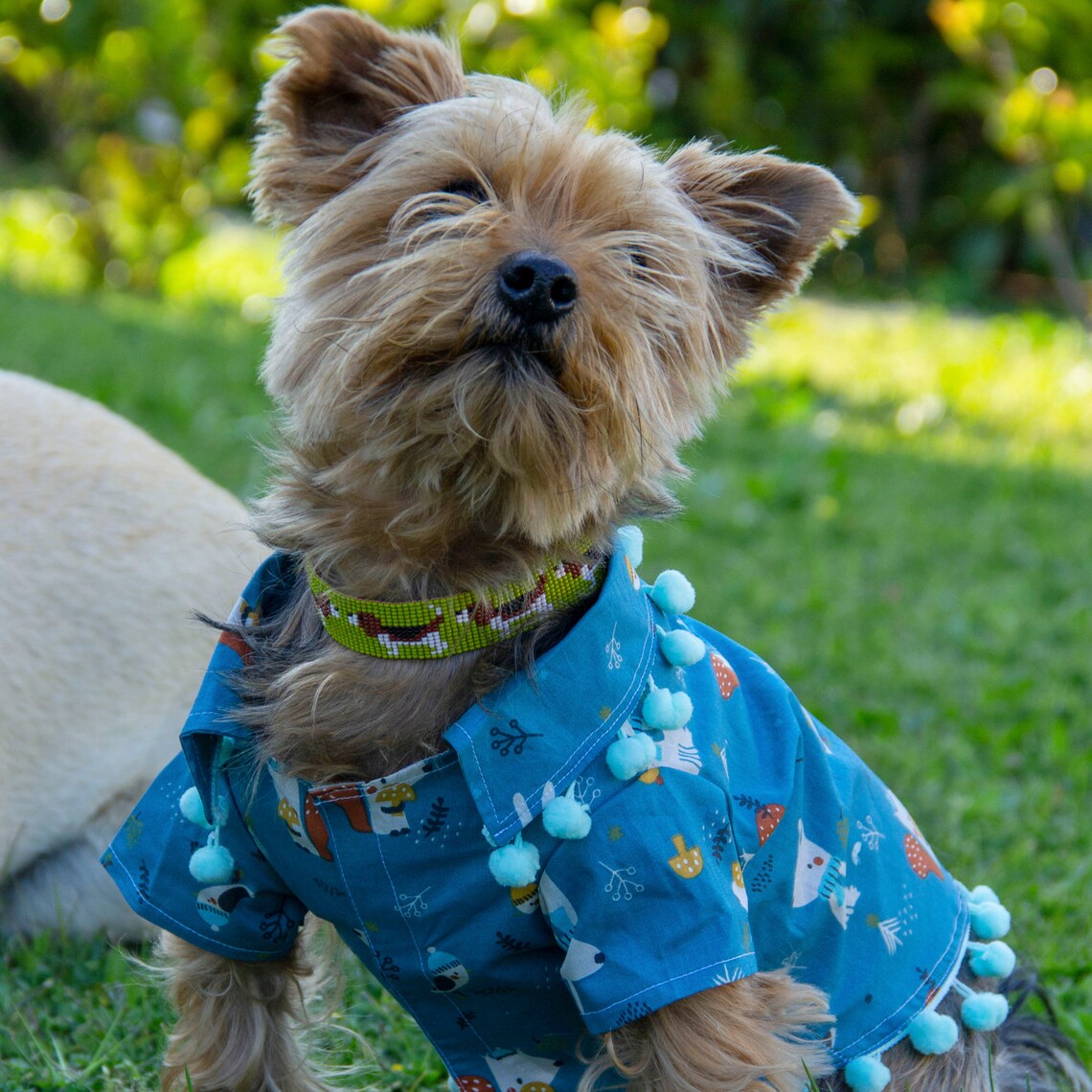 Freepik Perro Con Camisa Hawaiana Camisa Hawaiana Niña Pack