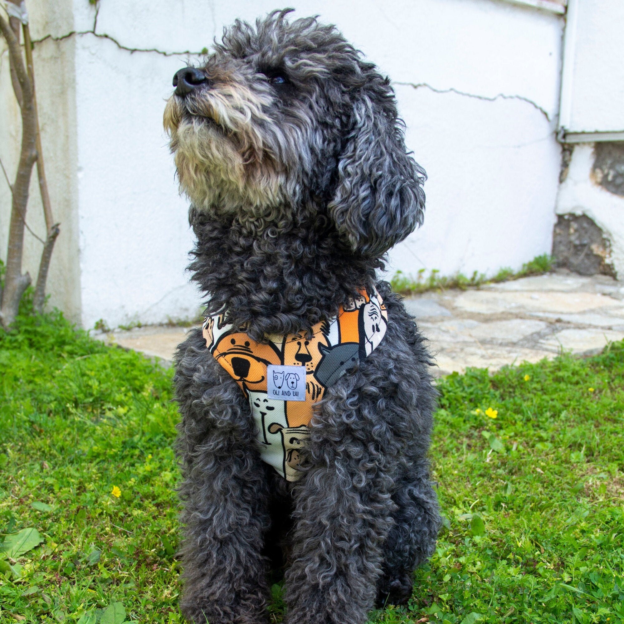 no pull step in dog harness