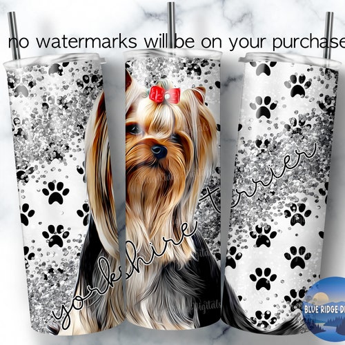 How Do I Know If My Yorkie Is Underweight