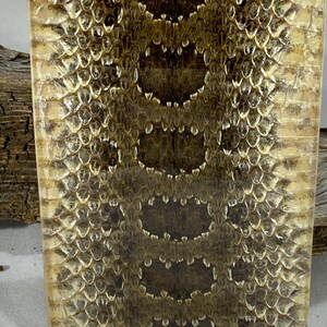 May include: A rectangular block featuring a preserved snake skin pattern with a glossy, clear finish. The surface displays a repeating dark brown diamond-shaped design centered against a lighter tan background of overlapping scales.