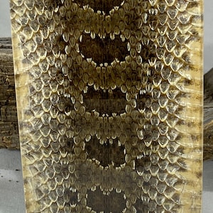 May include: A rectangular block of clear resin containing a preserved snake skin. The skin features a repeating pattern of dark brown, rounded blotches surrounded by lighter tan, diamond-shaped scales with a textured, raised appearance.