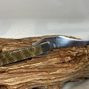 Pu&ograve; includere: Un coltello pieghevole in acciaio inossidabile con una lama curva e un manico ricoperto da un motivo a scaglie. Il coltello &egrave; aperto, mostrando la lama affilata. Il manico ha un tappo terminale argentato. Il coltello poggia su un pezzo di legno stagionato.