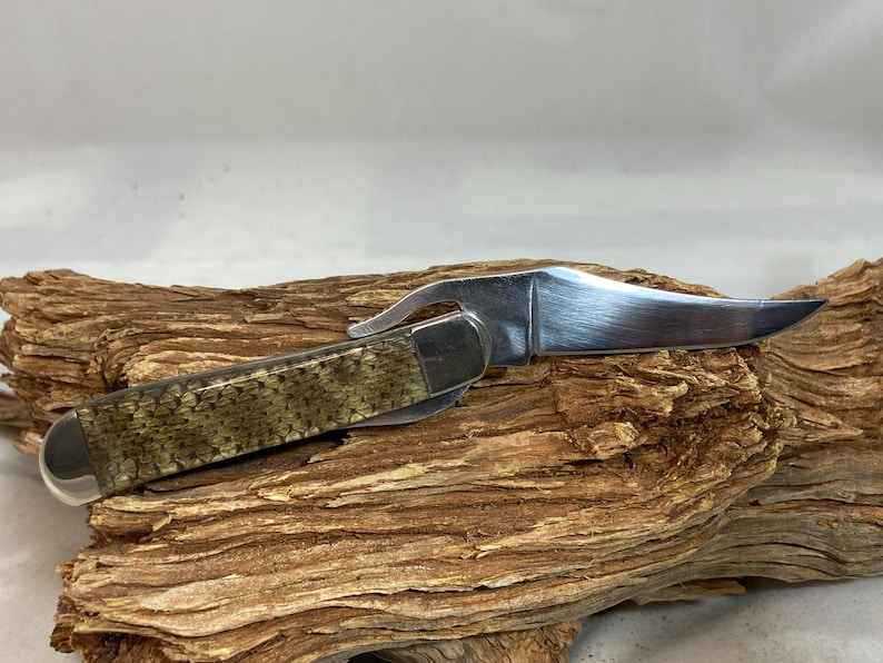 Pu&ograve; includere: Un coltello pieghevole in acciaio inossidabile con una lama curva e un manico ricoperto da un motivo a scaglie. Il coltello &egrave; aperto, mostrando la lama affilata. Il manico ha un tappo terminale argentato. Il coltello poggia su un pezzo di legno stagionato.