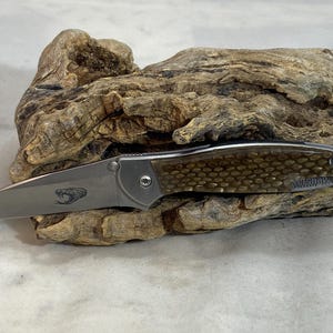 May include: A folding pocket knife with a silver metal blade featuring an etched snake graphic. The handle has a textured, honeycomb-patterned brown inlay and a silver bolster. The word Kershaw is printed on the handle near the end.
