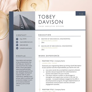 May include: A blue and white resume template with the name Tobey Davison, Chief Executive Officer, at the top. The resume includes contact information, education, and work experience.
